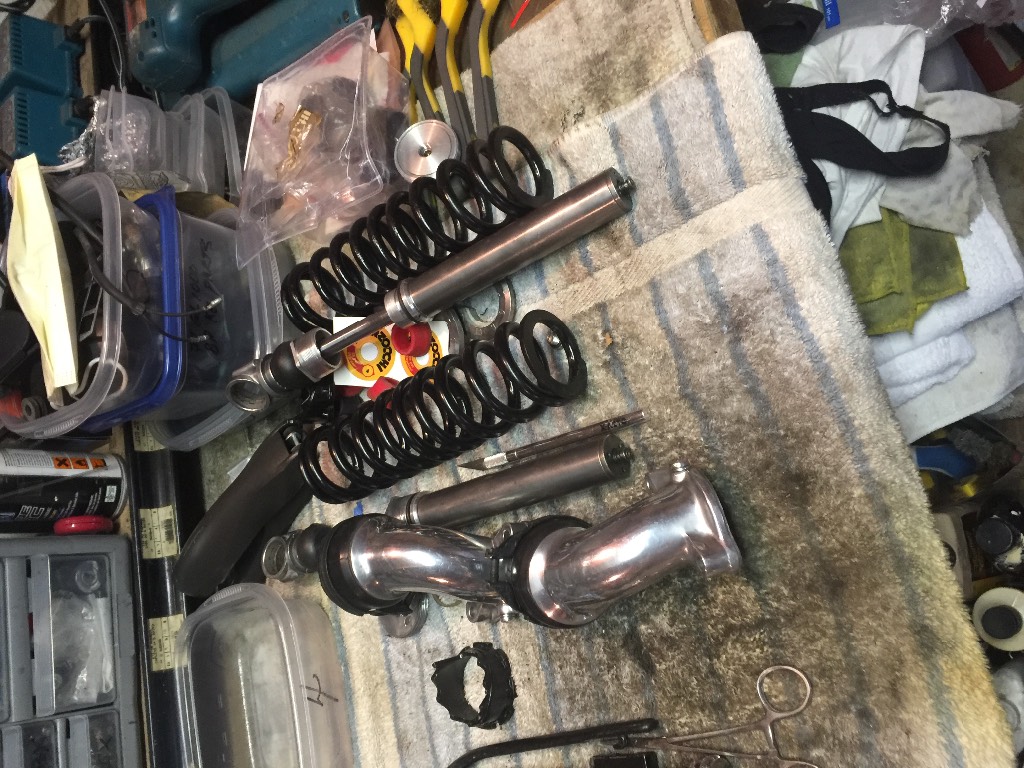 Marzocchi guts and polished carb runners
