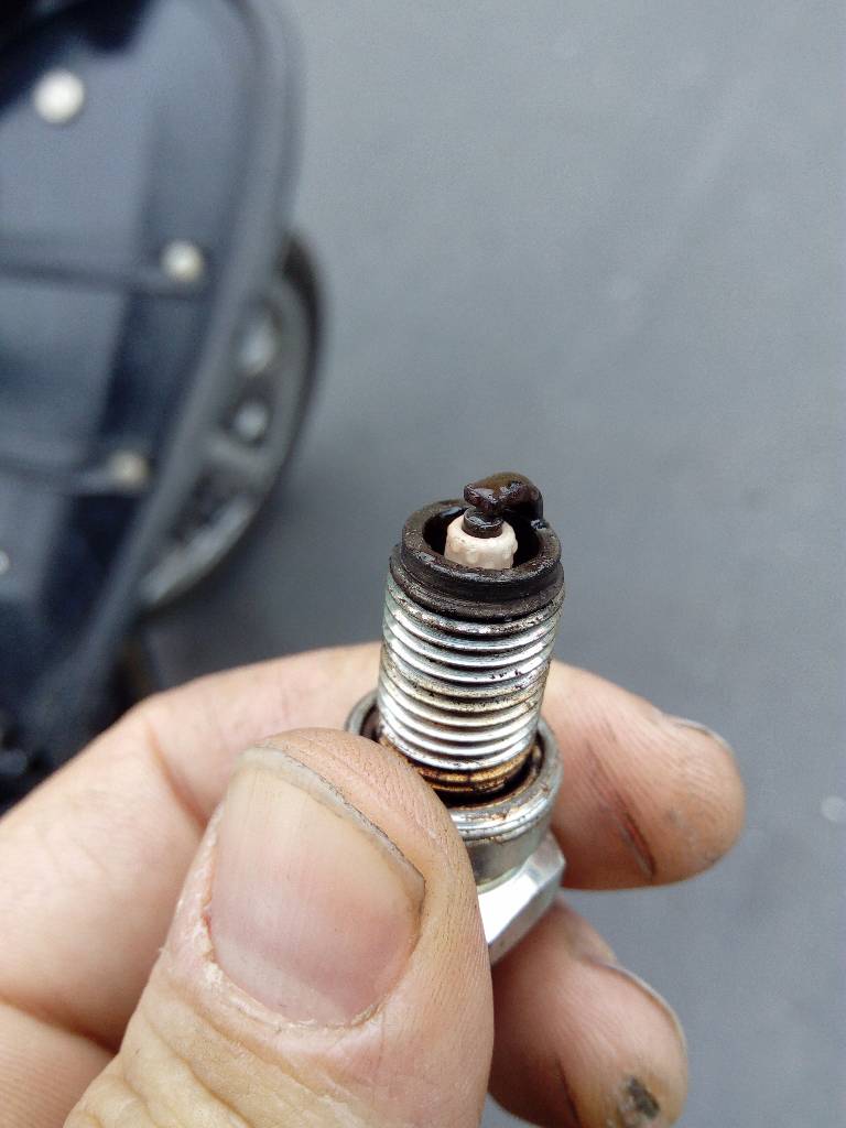 Wet spark plug