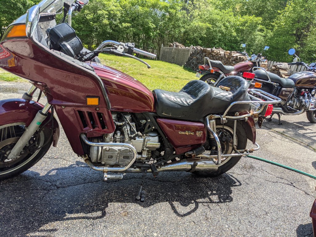 After her first hose down in a decade - at home.