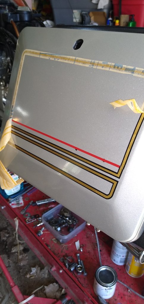 Salvaged 3M pinstriping that came with the doors