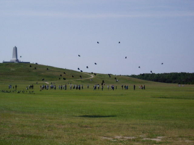 Kitty Hawk