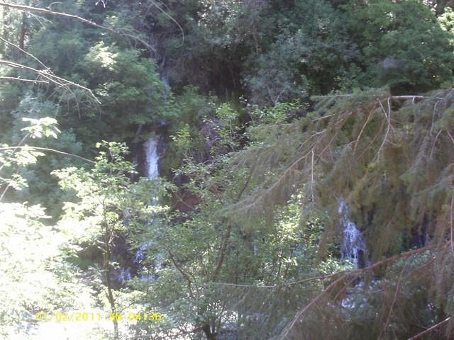 IMAG0051