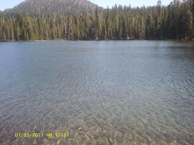 IMAG0071