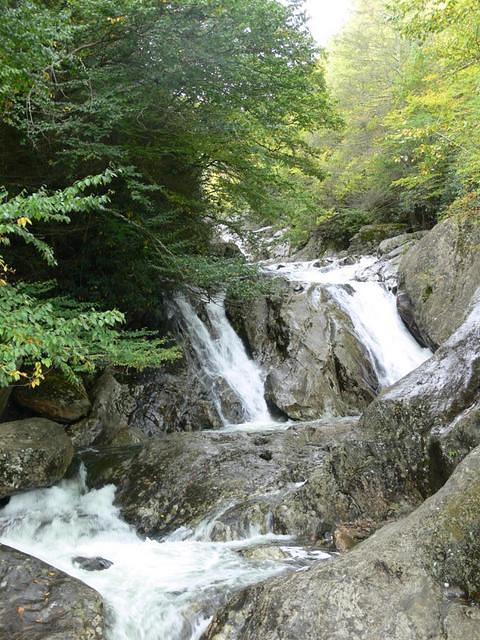 Picture break, among other things. Thursday's side trip on the way to the Blue Ridge Parkway.