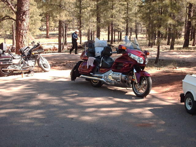 HPIM5566