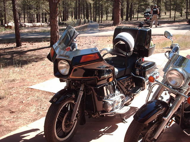 HPIM5572