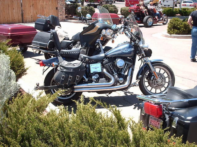 HPIM5646