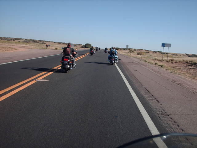 HPIM5667