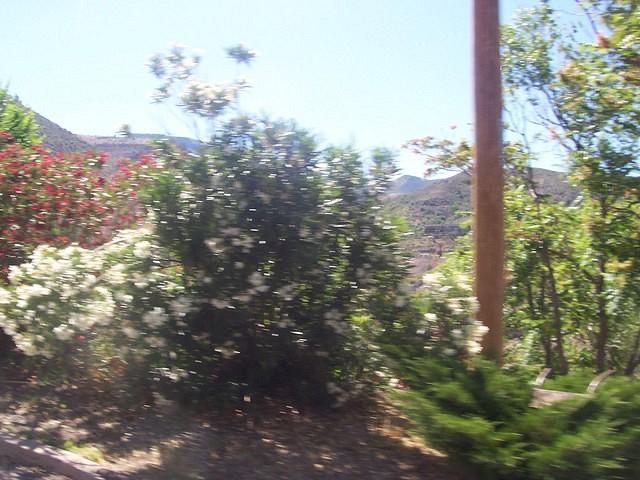 100_4470