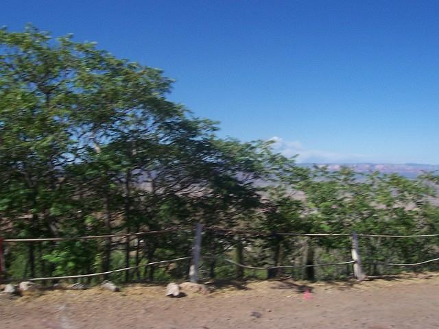 100_4847