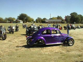 bugwing1