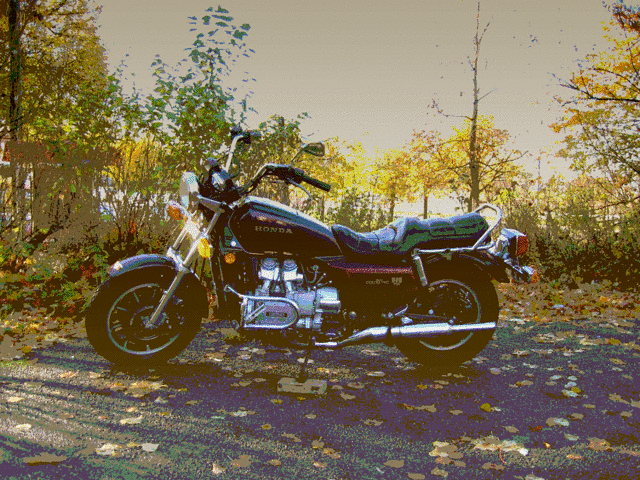 trygve's_gl1200_standard1