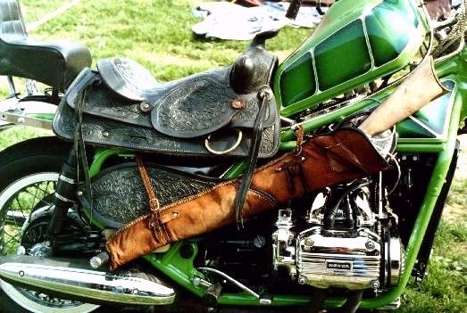 Funny GoldWing