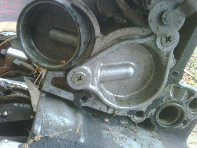 gearshaft seal