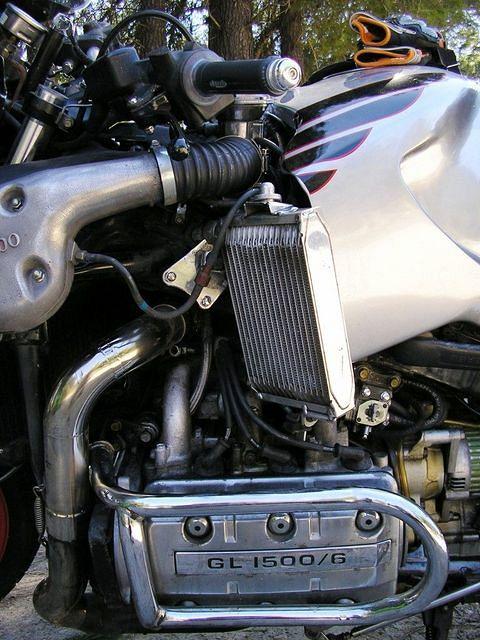 Beast 5 (before)