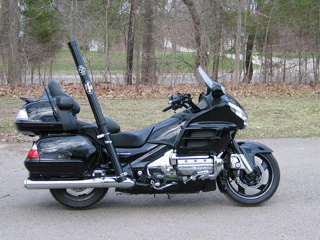 The Stealth Wing