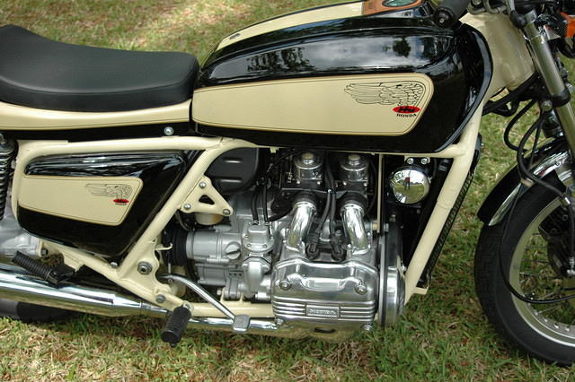Condor0244