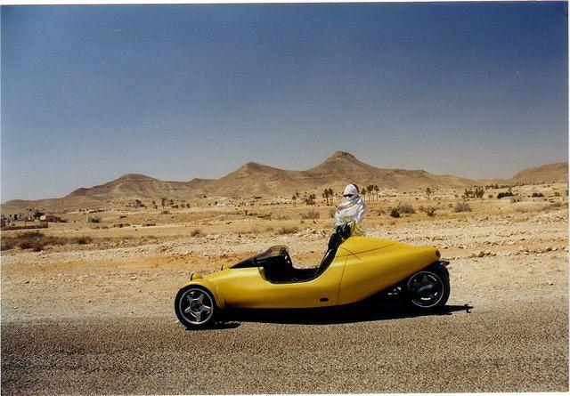 Sahara Scorpion
