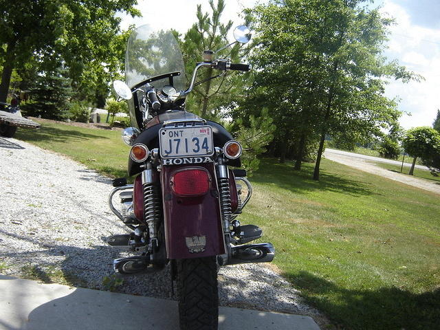 DSC02137.jpg