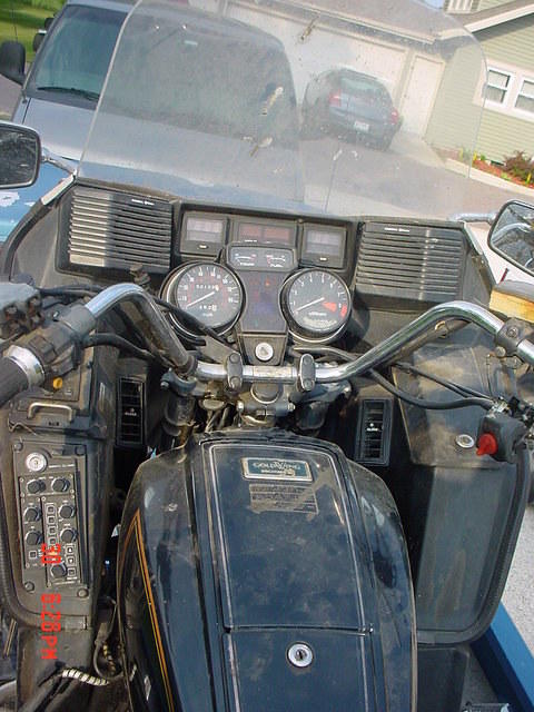 81 wing 095