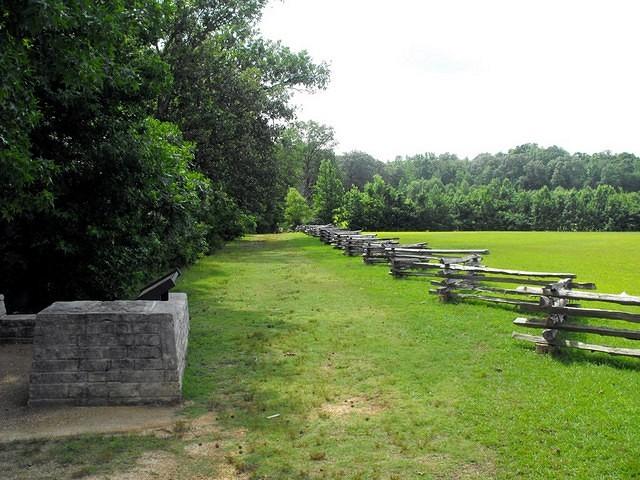 Picture 024