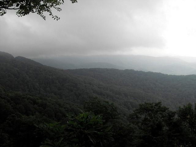 Picture 037