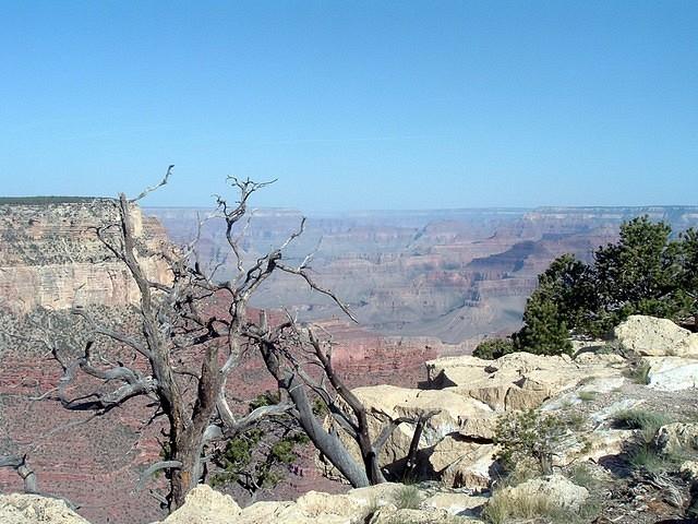 Grand Canyon 1