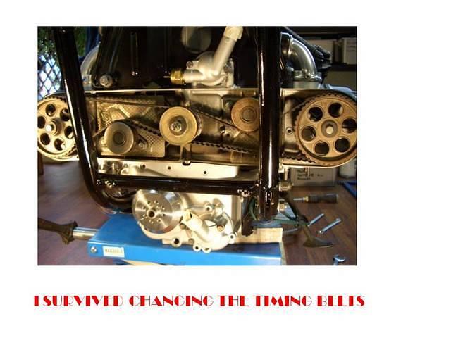 Belts Transfer