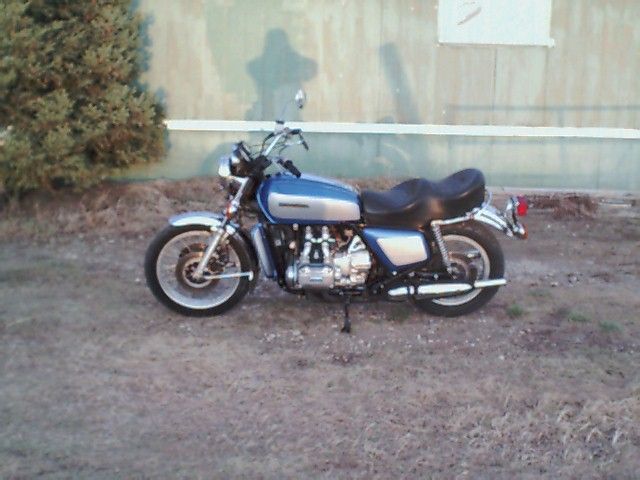 my 75 wing