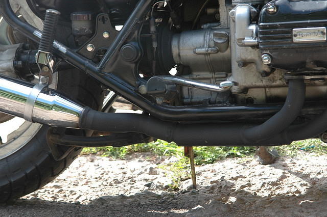 DSC_7799.JPG