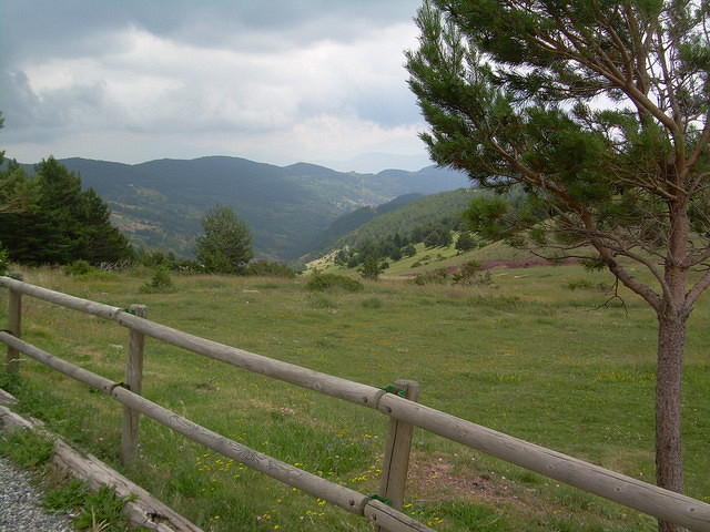 DSCN2929