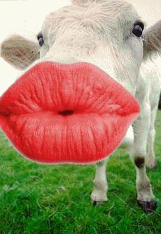 kiss
