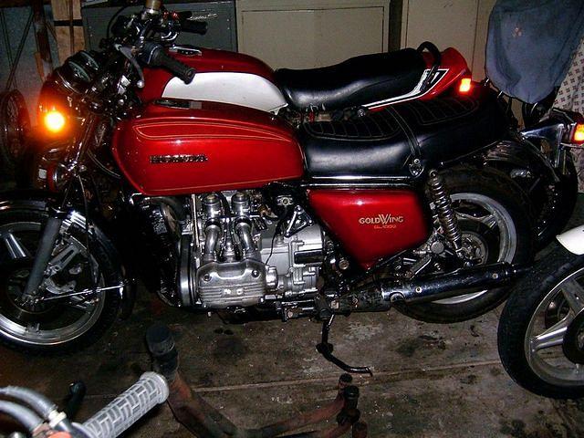 bristle's baby - getting there