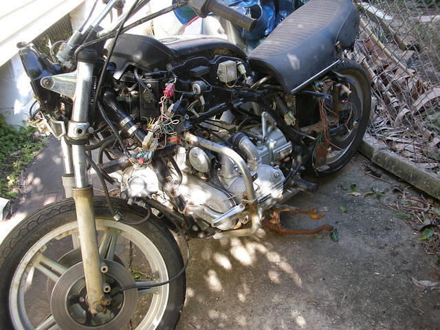January 2010 In the Beginning