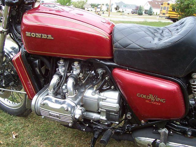 Bear's Bike Naked
