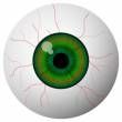 ist1 111587 eyeball