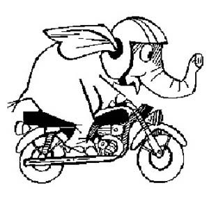 elephant