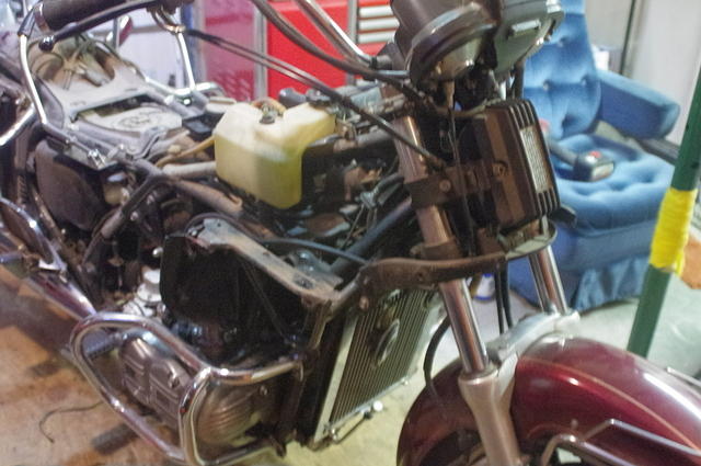 IMGP1972