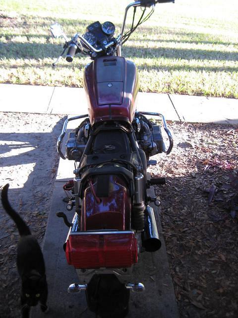 IMG_2479(reduced)