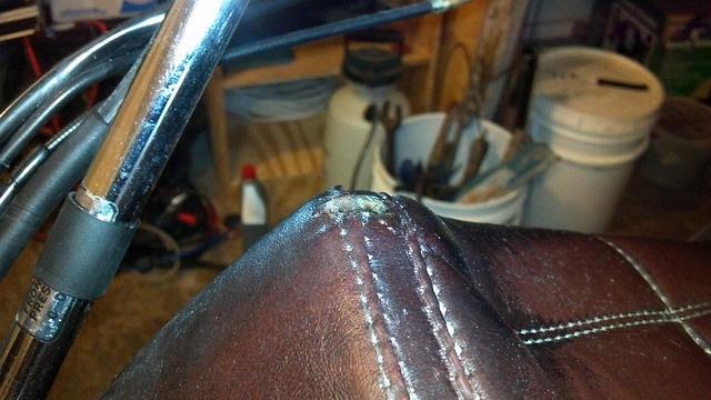 2012-03-01_07-53-15_945.jpg