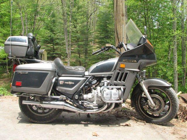 The goldwing before the stripping