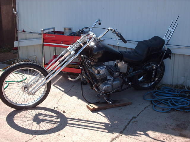 HPIM6076