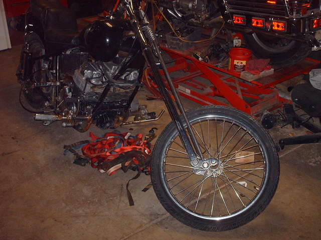 HPIM6087