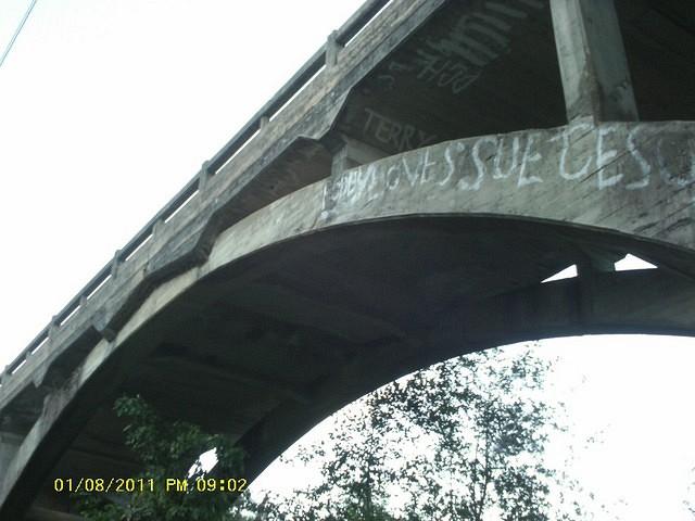 IMAG0088