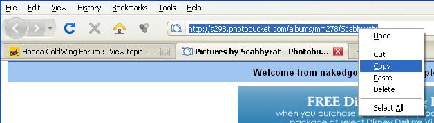 MyAlbumPhotobucket