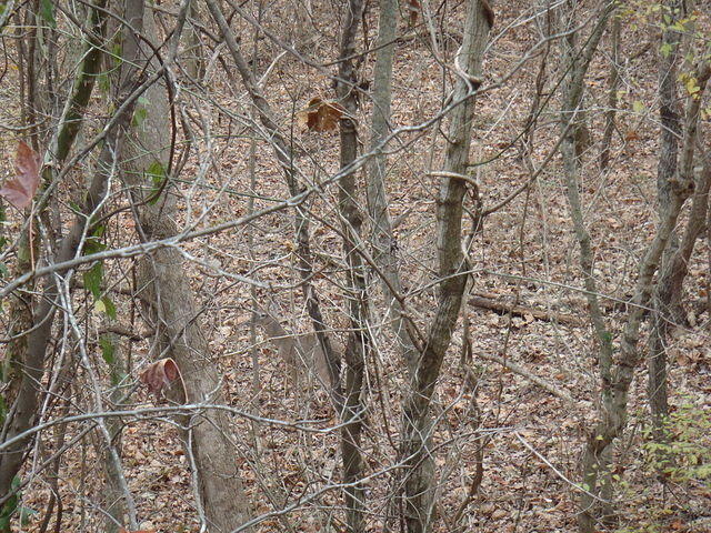 PB121539