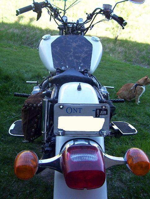 irst_ride_017.jpg