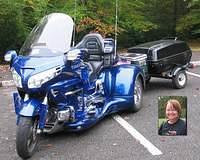 wall-terrie