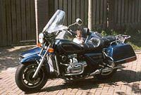 GL1100 sidecar
