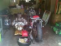 Bike looks so tiny...